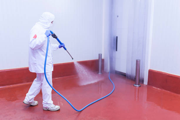 Best Rust Removal  in Clark, SD